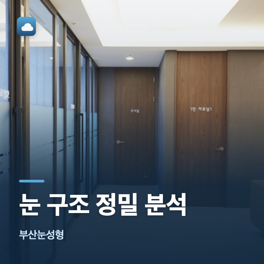 부산눈성형 눈 구조 정밀 분석